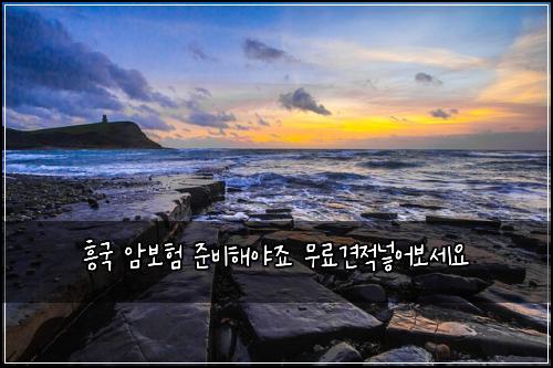 ํฅ๊ตญ ์๋ณดํ ์ค๋นํด์ผ์ฃ ๋ฌด๋ฃ๊ฒฌ์ ๋ฃ์ด๋ณด์ธ์