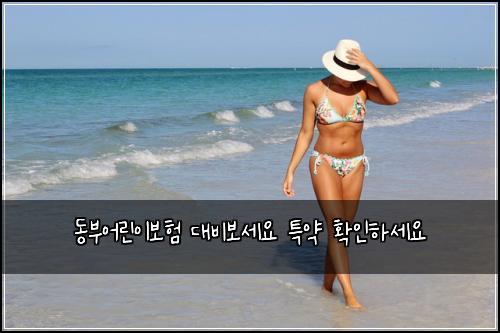 ๋๋ถ์ด๋ฆฐ์ด๋ณดํ ๋๋น๋ณด์ธ์ ํน์ฝ ํ์ธํ์ธ์