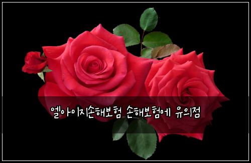 ์์์ด์ง์ํด๋ณดํ ์ํด๋ณดํ์ ์ ์์ 