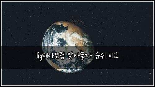 lig태아보험 알아놓자  순위 비교