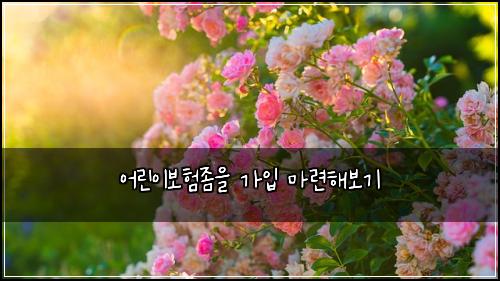 어린이보험좀을 가입 마련해보기