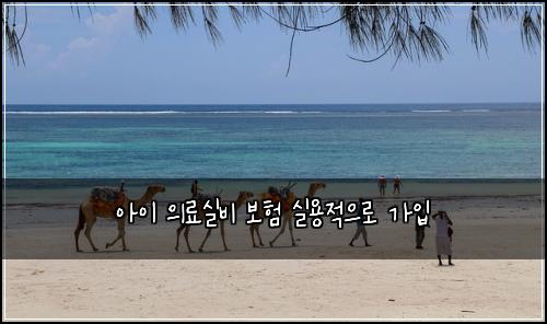 아이 의료실비 보험 실용적으로  가입