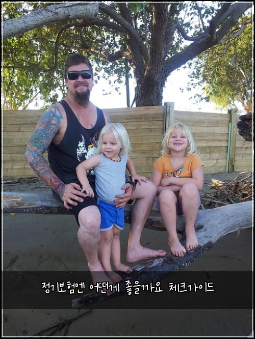 정기보험엔 어떤게 좋을까요 체크가이드