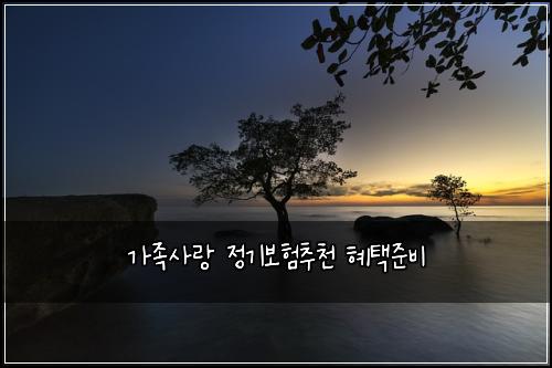 가족사랑 정기보험추천 혜택준비