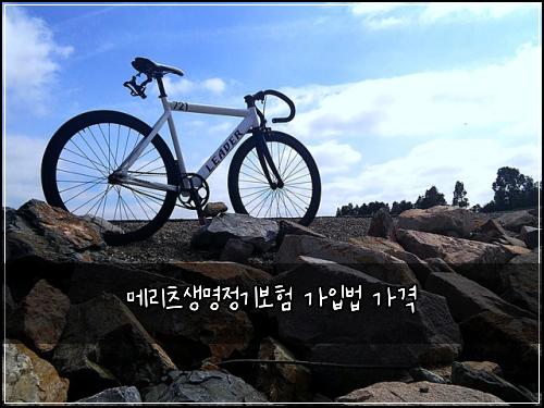 메리츠생명정기보험 가입법  가격
