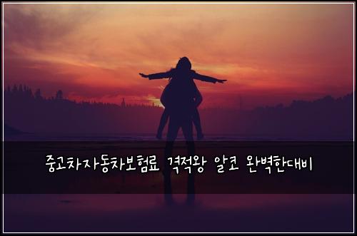์ค๊ณ ์ฐจ์๋์ฐจ๋ณดํ๋ฃ ๊ฒฉ์ ์ ์์ฝ ์๋ฒฝํ๋๋น