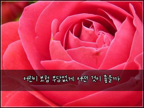 어린이 보험 부담없게  어떤 것이 좋을까