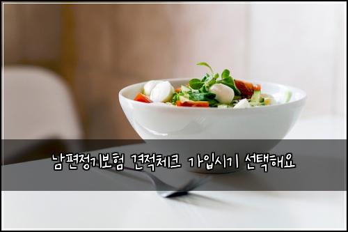 남편정기보험 견적체크  가입시기 선택해요