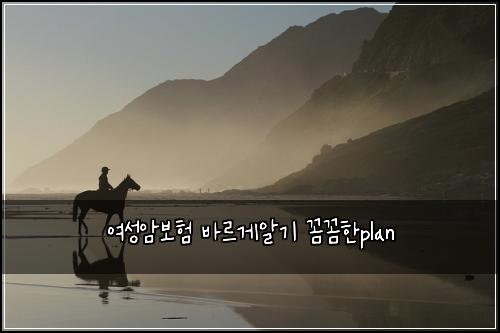 여성암보험 바르게알기  꼼꼼한plan