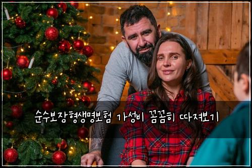 순수보장형생명보험 가성비 꼼꼼히 따져보기