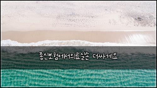 종신보험에서의료실손 더싸게요