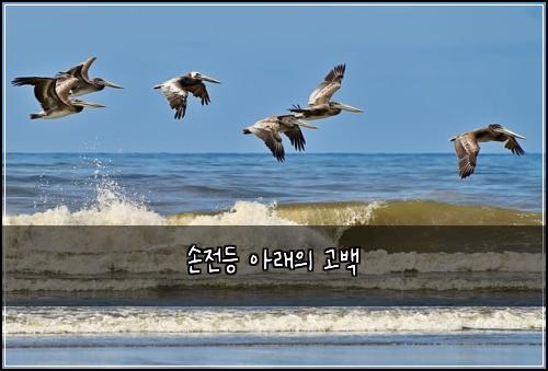 손전등 아래의 고백
