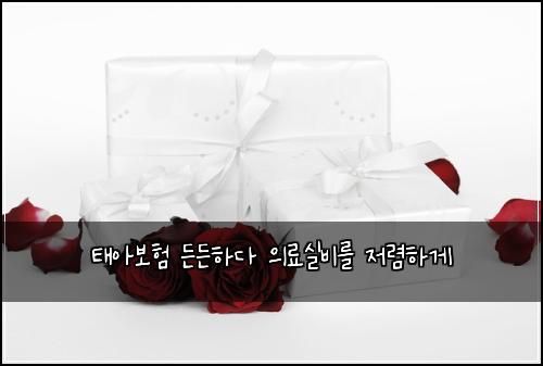 태아보험 든든하다  의료실비를 저렴하게