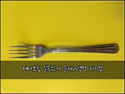 태아보험 실속있게  손해vs생명 차이점