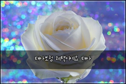 태아보험 혜택이에요  태아