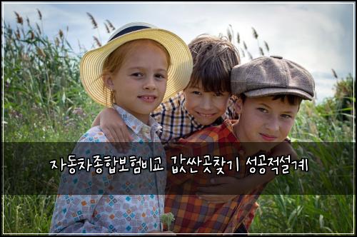์๋์ฐจ์ข
ํฉ๋ณดํ๋น๊ต ๊ฐ์ผ๊ณณ์ฐพ๊ธฐ ์ฑ๊ณต์ ์ค๊ณ