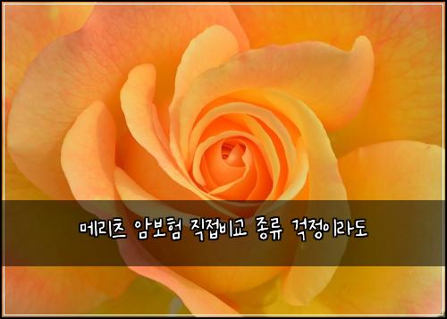 메리츠 암보험 직접비교  종류 걱정이라도