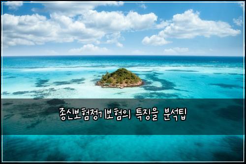 종신보험정기보험의 특징을 분석팁
