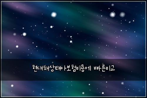 ํ๋ํด์ํ์๋ณดํ๋น์ฉ์ ๋น ๋ฅธ๋น๊ต