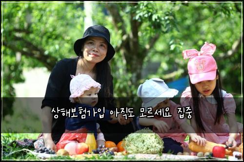 상해보험가입 아직도 모르세요 집중