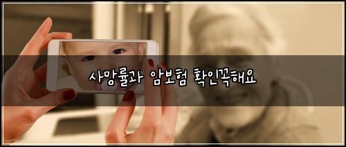 사망률과 암보험 확인꼭해요 