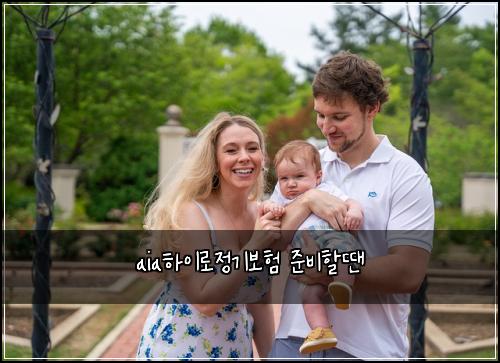 aia하이로정기보험 준비할땐 