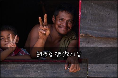 손해보험 정보살리기  암