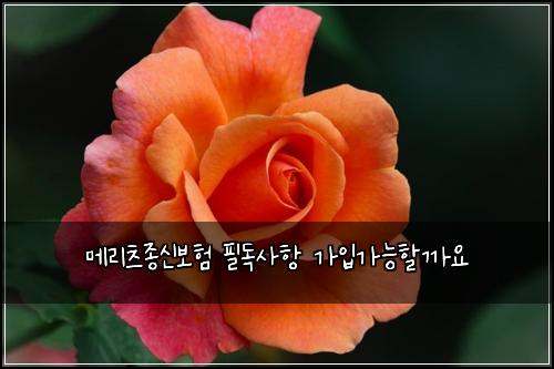 메리츠종신보험 필독사항  가입가능할까요