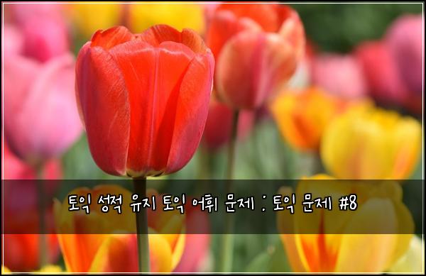 토익 성적 유지 토익 어휘 문제 : 토익 문제 #8