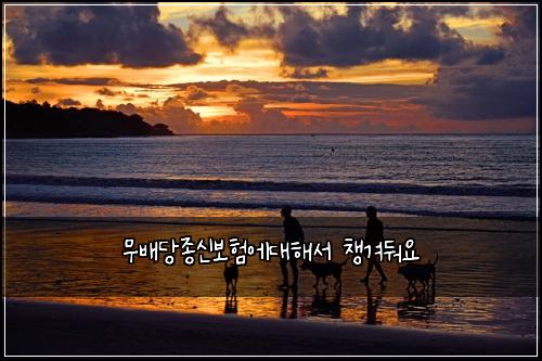 ๋ฌด๋ฐฐ๋น์ข
์ ๋ณดํ์๋ํด์ ์ฑ๊ฒจ๋ฌ์