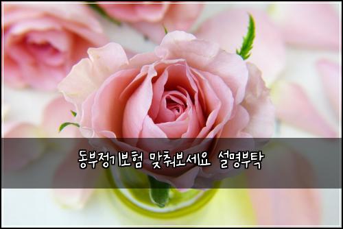 ๋๋ถ์ ๊ธฐ๋ณดํ ๋ง์ถฐ๋ณด์ธ์ ์ค๋ช
๋ถํ