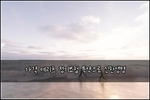 가격 메리츠 정기보험 특약으로  신한생명