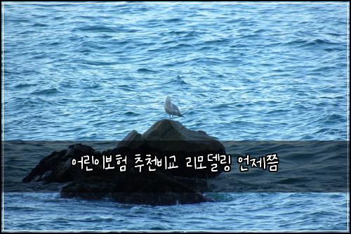 어린이보험 추천비교  리모델링 언제쯤