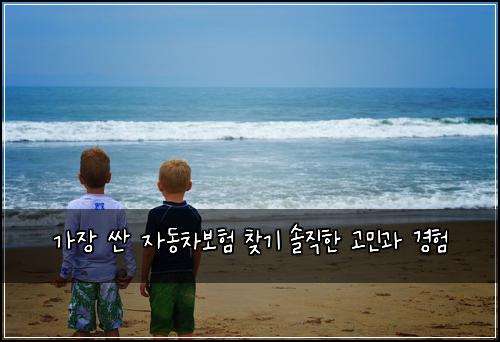 가장 싼 자동차보험 찾기 솔직한 고민과 경험