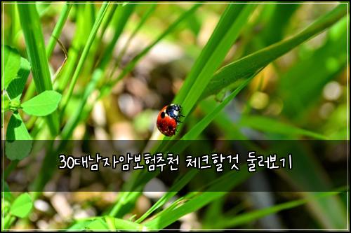 30대남자암보험추천 체크할것 둘러보기