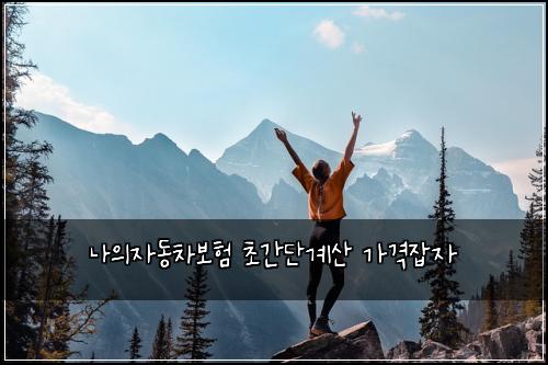 나의자동차보험 초간단계산  가격잡자