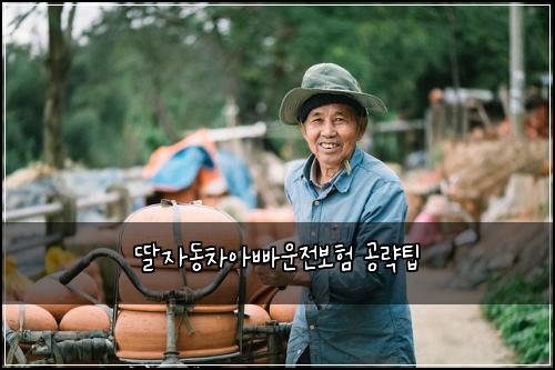 딸자동차아빠운전보험 공략팁 