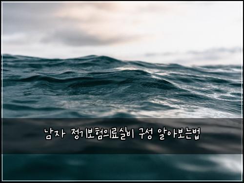 남자 정기보험의료실비 구성 알아보는법