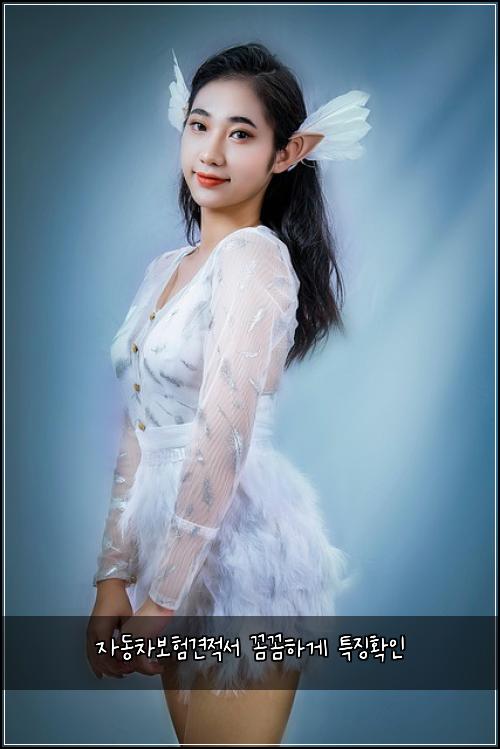 자동차보험견적서 꼼꼼하게 특징확인