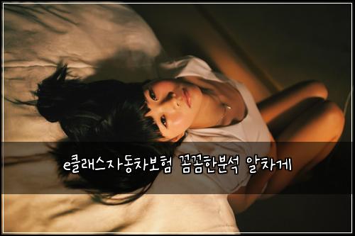 e클래스자동차보험 꼼꼼한분석  알차게
