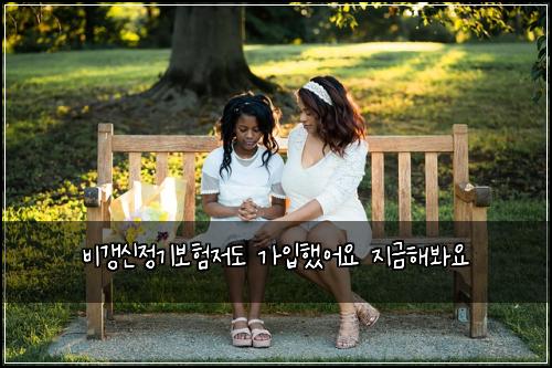 비갱신정기보험저도 가입했어요 지금해봐요