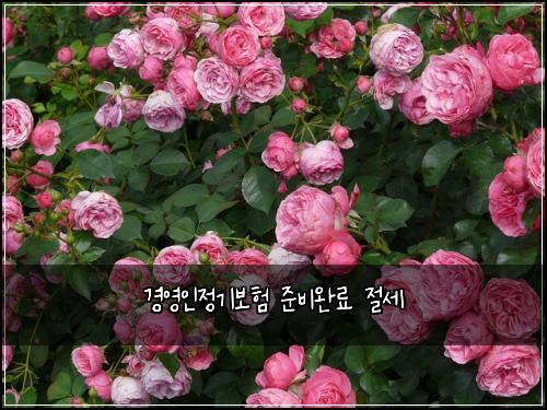 경영인정기보험 준비완료  절세