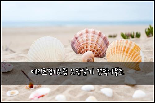 메리츠정기보험 보장알기  견적어떻죠