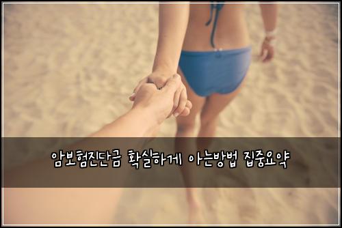 암보험진단금 확실하게 아는방법 집중요약