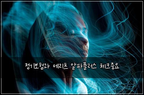정기보험과 메리츠 알파플러스 체크중요