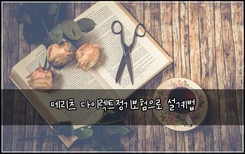 메리츠 다이렉트정기보험으로 설계법