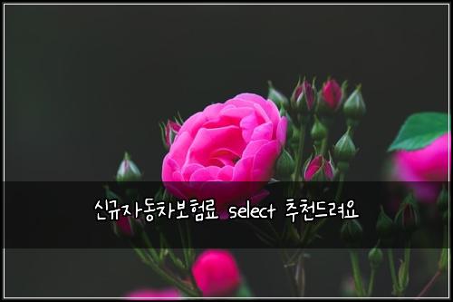 ์ ๊ท์๋์ฐจ๋ณดํ๋ฃ select ์ถ์ฒ๋๋ ค์