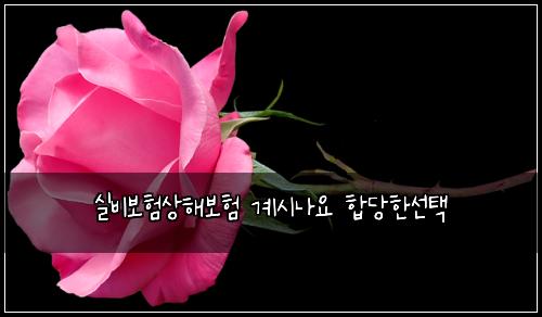 실비보험상해보험 계시나요 합당한선택