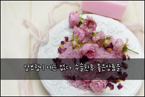 암보험이 에는 없다 수술한후 좋은상품을