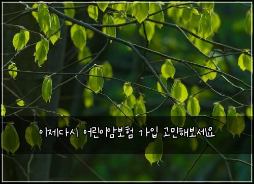 이제다시 어린이암보험 가입 고민해보세요